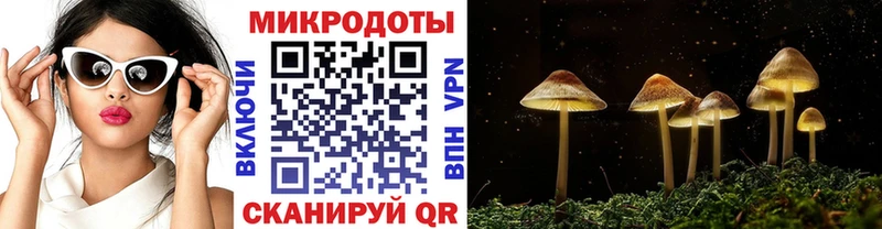 Купить  Краснокаменск  Псилоцибиновые грибы ЛСД 