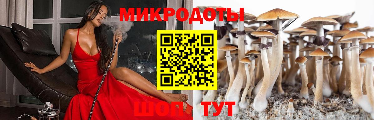 Краснокаменск  Галлюциногенные грибы Psilocybine cubensis  Вход с VPN  Галлюциногенные грибы Cubensis 
