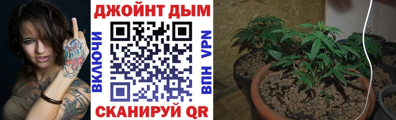 Каннабис семена  Купить  Краснокаменск 
